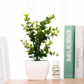 Artificial Plant Oil Diffuser